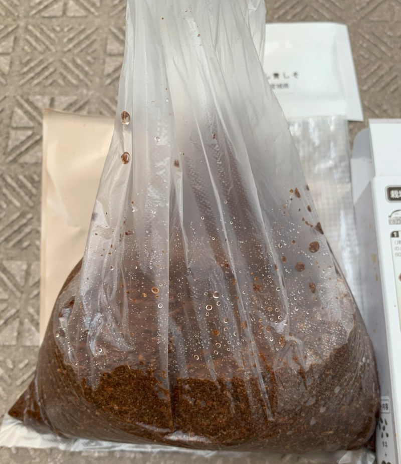 ダイソーちりめん青しそキットの土
